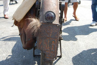 1919 Indian Power Plus