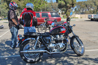 Triumph Bonneville T100