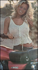 1976 kz650 poster